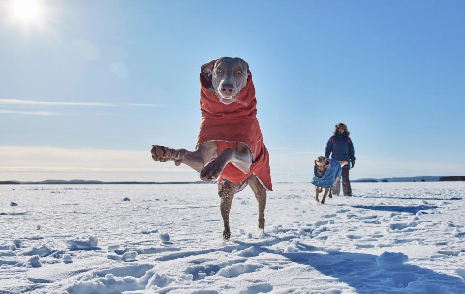 Hurtta Extreme Warmer III ECO Cinnamon