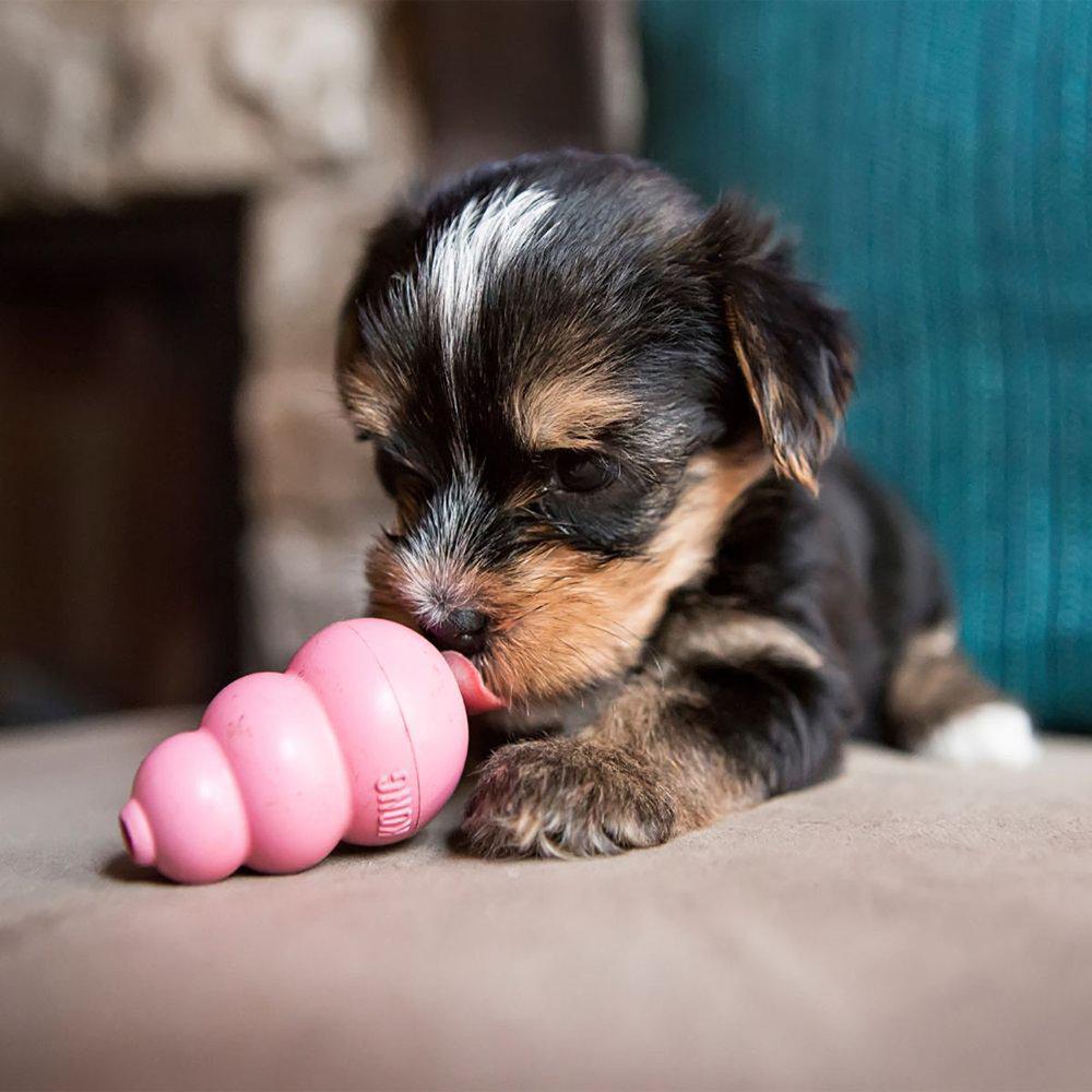 Kong Puppy Mix
