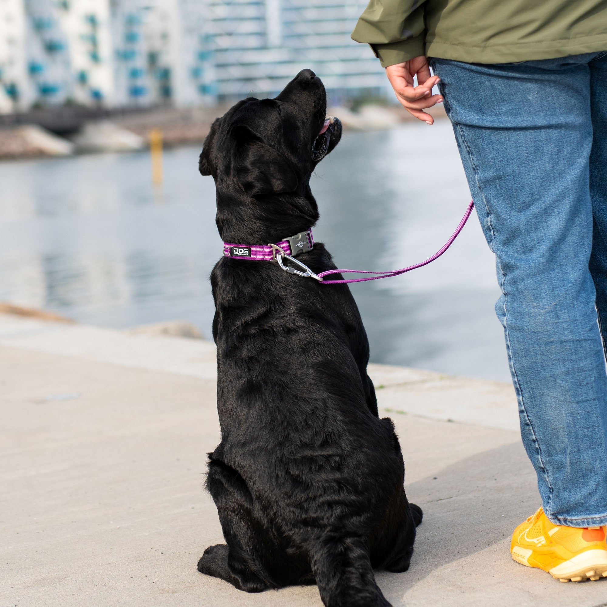 Dog Copenhagen Urban Style 3.0 Collar Lila