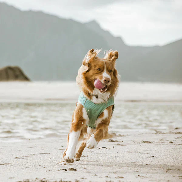 Hurtta Cooling Wrap Carnation pink