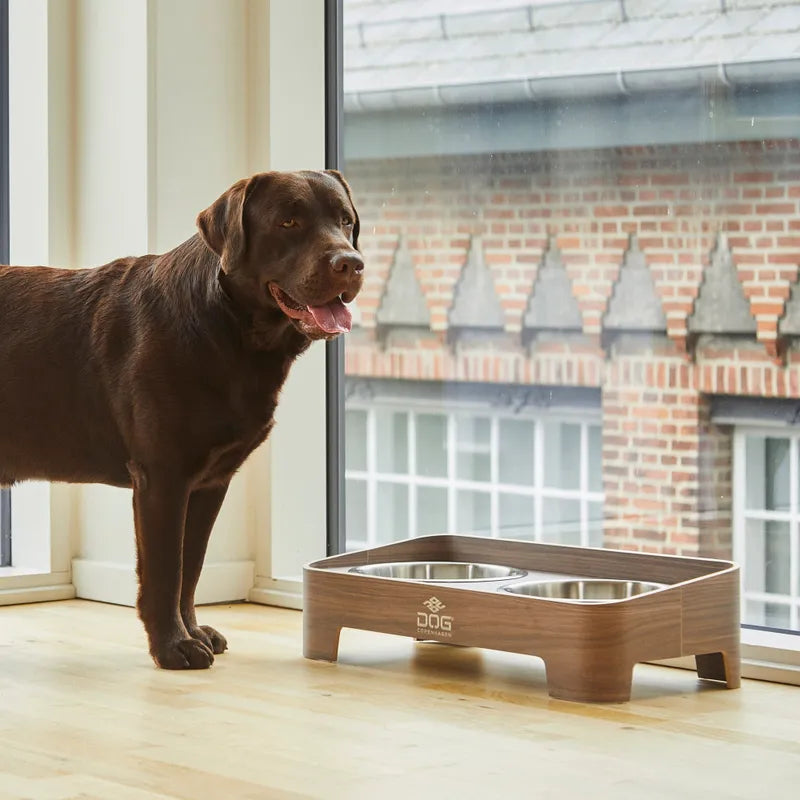 Dog copenhagen Skagen matskål Brun