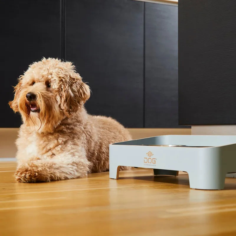 Dog copenhagen Skagen matskål Blå/Grön