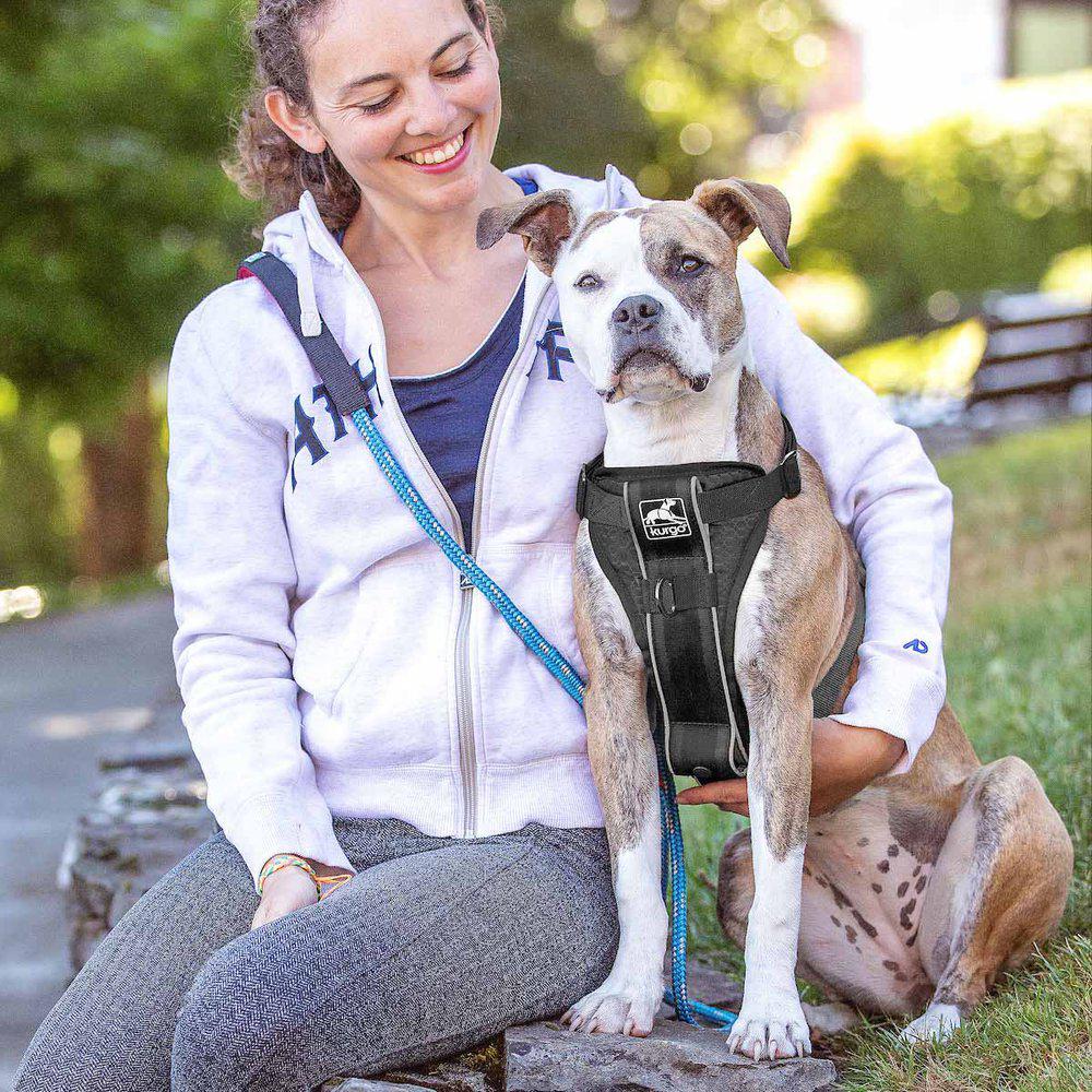 Kurgo Tru-Fit Smart Harness W/Seatbelttether S Black