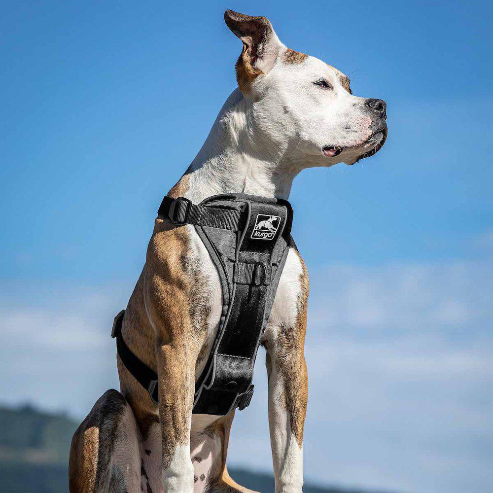 Kurgo Tru-Fit Smart Harness W/Seatbelttether Xl Black