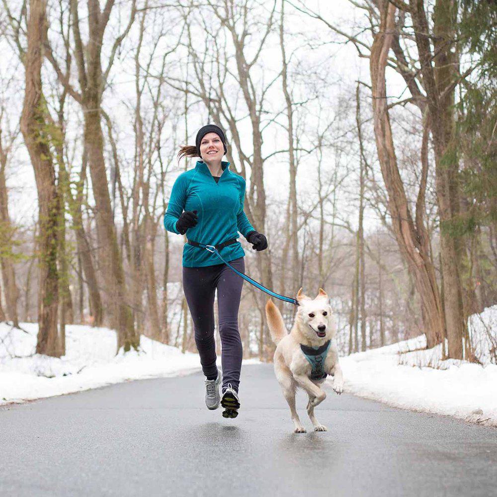 Kurgo Reflect&protect Quantum Leash Barn Coastal Blue