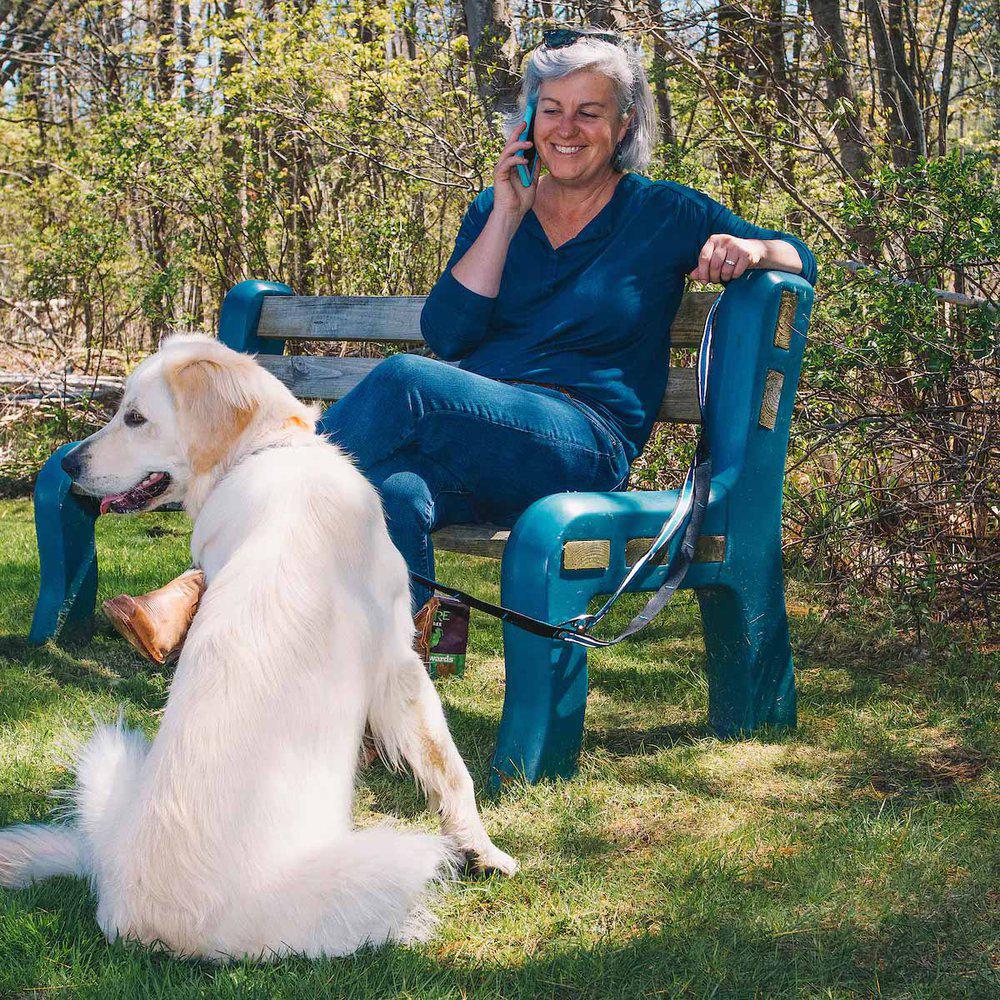 Kurgo Reflect&protect Quantum Leash Barn Coastal Blue