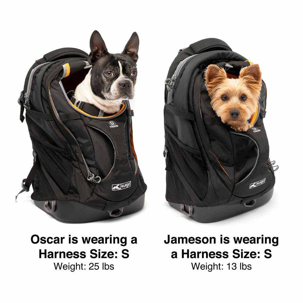 Kurgo G-Train K9Pack Navy