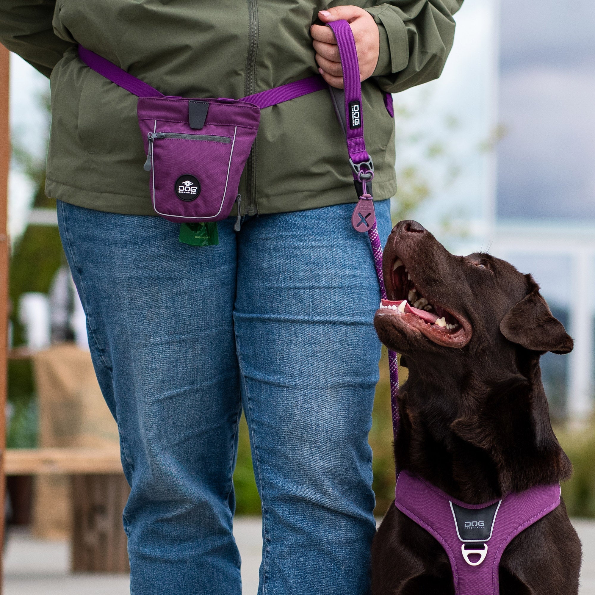 Dog Copenhagen Urban Rope Leash Lila